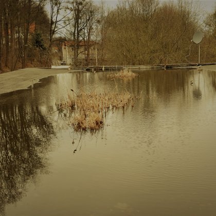 Auf dem Dach ein See mit Schilf