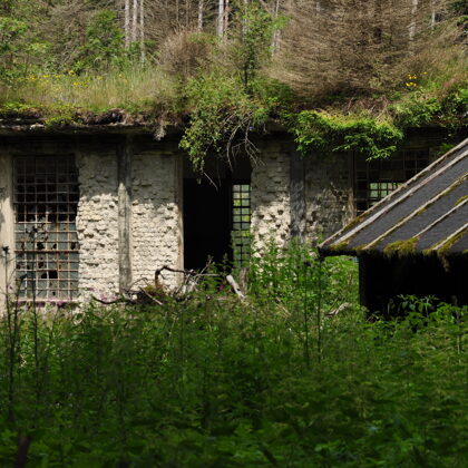 Verladebahnhof(311)