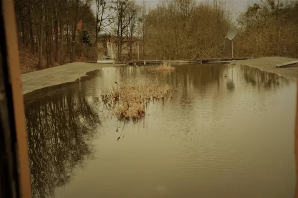 Auf dem Dach ein See mit Schilf