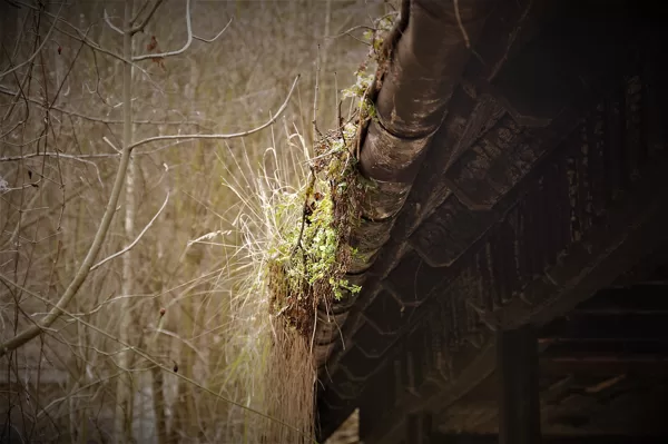 Natur 